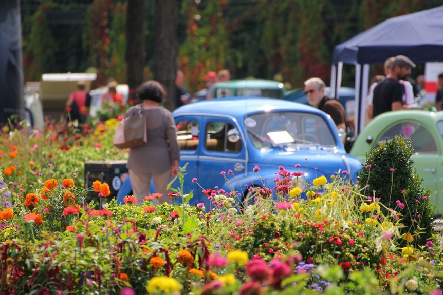 Schloss und Schlossgarten Schwetzingen, Event, International Concours d’Elegance