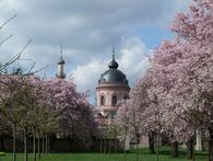 Moschee mit Kirschbäumen im Frühling
