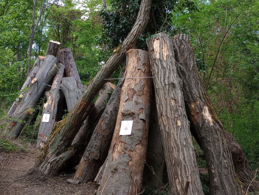 Schloss und Schlossgarten Schwetzingen, Totholzpyramide im Schlossgarten