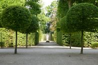 Foto: Staatliche Schlösser und Gärten Baden-Württemberg, Henrike von Werder-Zyprian Angloise im Schlossgarten Schwetzingen