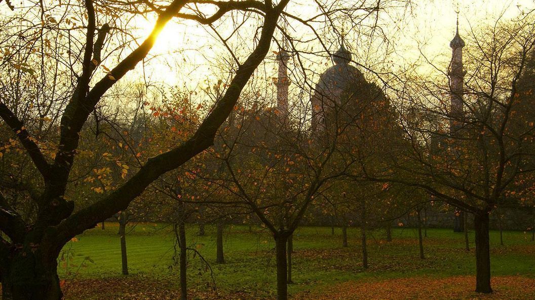 Herbststimmung im Schwetzinger Obstgarten