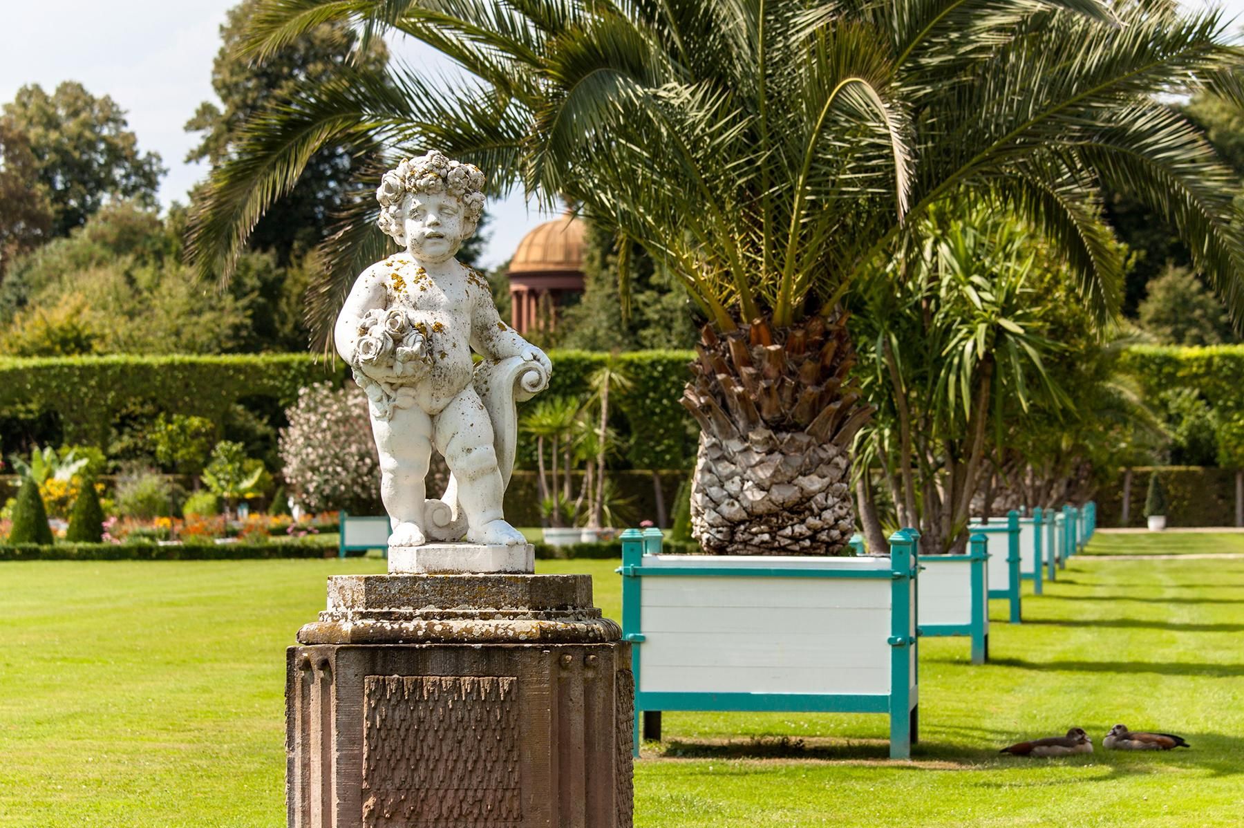 Schloss und Schlossgarten Schwetzingen, Ananas