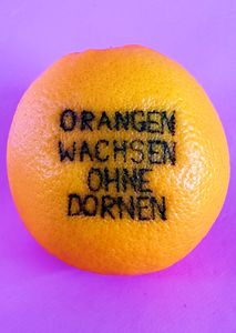 Schloss und Schlossgarten Schwetzingen, Kunstausstellung Orangen wachsen ohne Dornen