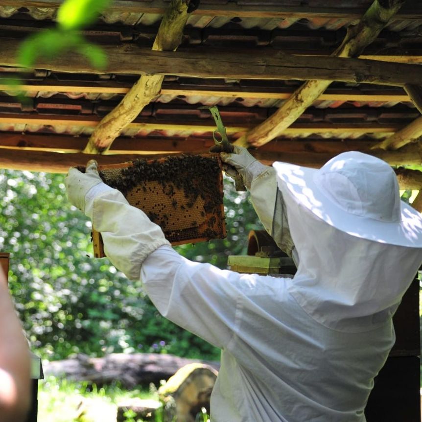 Schloss und Schlossgarten Schwetzingen, Weltbienentag, Imker mit Bienenwaben
