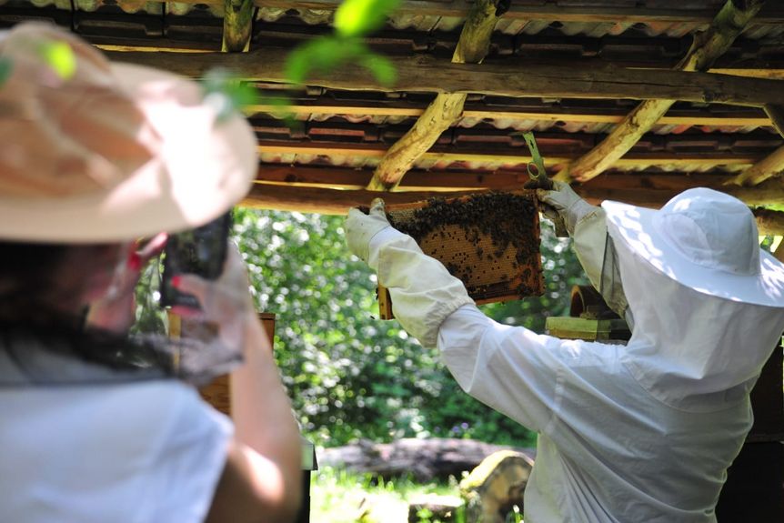 Schloss und Schlossgarten Schwetzingen, Weltbienentag, Imker mit Bienenwaben