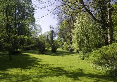 Schlossgarten Schwetzingen