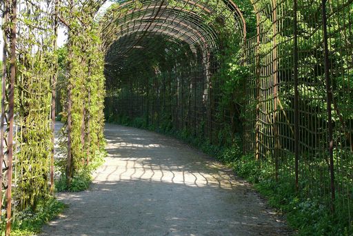 Laubengänge am Kreisparterre im Schwetzinger Schlossgarten