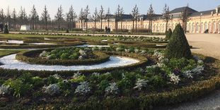 Schloss und Schlossgarten Schwetzingen