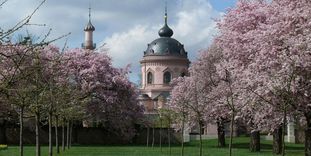 Schloss und Schlossgarten Schwetzingen, Kirschblüte vor der Moschee
