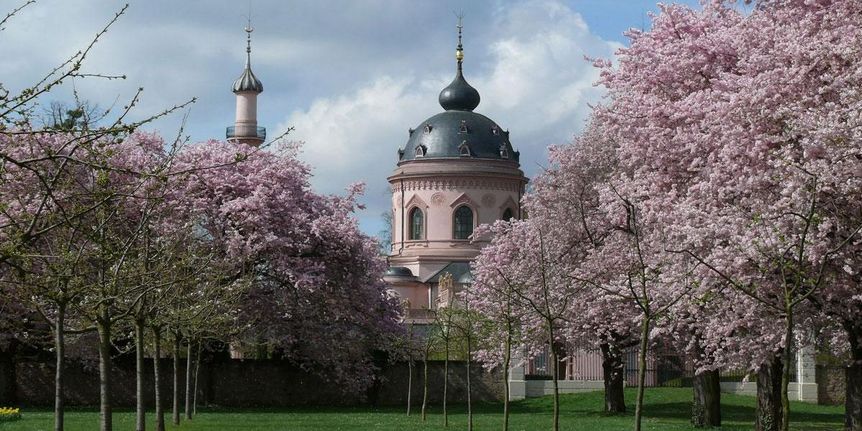 Schloss und Schlossgarten Schwetzingen, Kirschblüte vor der Moschee