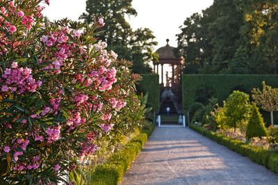 Schloss und Schlossgarten Schwetzingen, Schlossgarten 