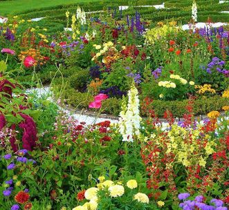 Schlossgarten Schwetzingen, Rabatte im Kreisparterre