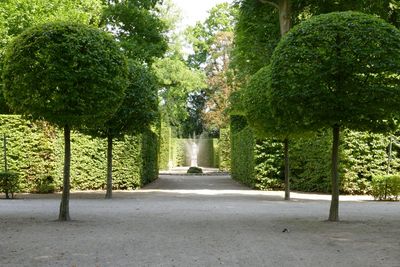 Schloss und Schlossgarten Schwetzingen, Boskette; Foto: Staatliche Schlösser und Gärten Baden-Württemberg, Henrike Werder 