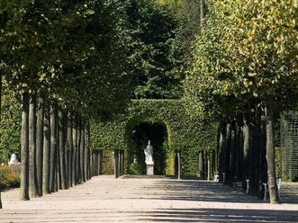 Allee im Schlossgarten von Schloss Schwetzingen