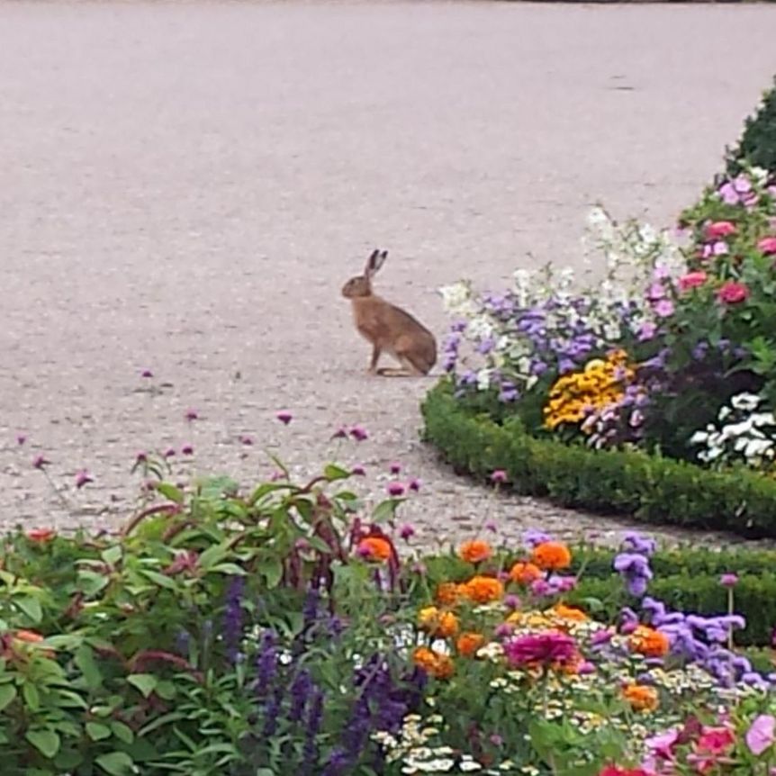 Schloss und Schlossgarten Schwetzingen, Event, Osteraktion