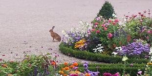 Schloss und Schlossgarten Schwetzingen, Event, Osteraktion