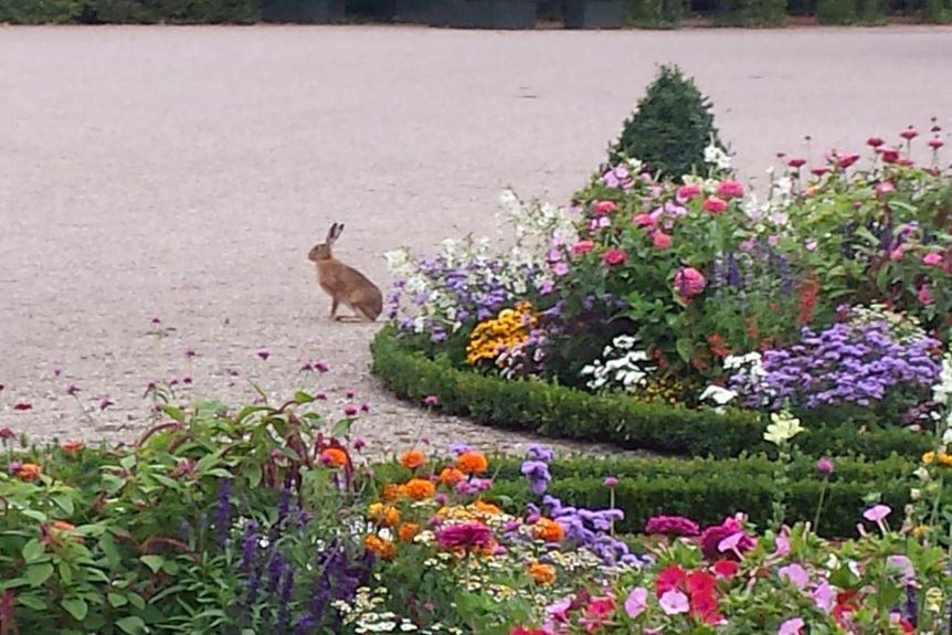 Schloss und Schlossgarten Schwetzingen, Event, Osteraktion