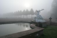Foto: Staatliche Schlösser und Gärten Baden-Württemberg, Uschi Wetzel Hirschgruppe im Nebel