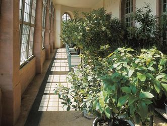 Schloss und Schlossgarten Schwetzingen, Innenansicht Neue Orangerie