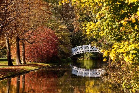 Schwetzingen Palace and Gardens, Bridge in fall