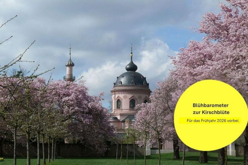 Schloss und Schlossgarten Schwetzingen, Obstgarten vor der Gartenmoschee