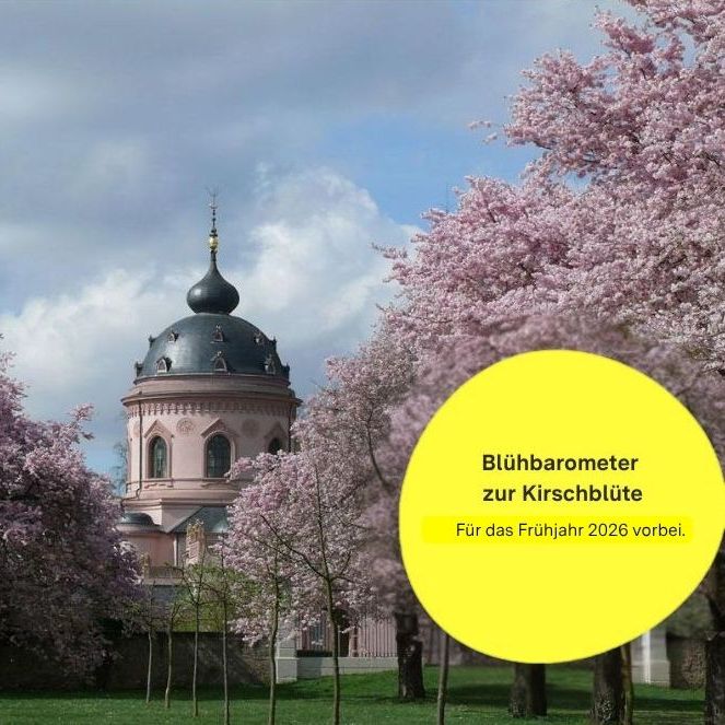 Schloss und Schlossgarten Schwetzingen, Obstgarten vor der Gartenmoschee